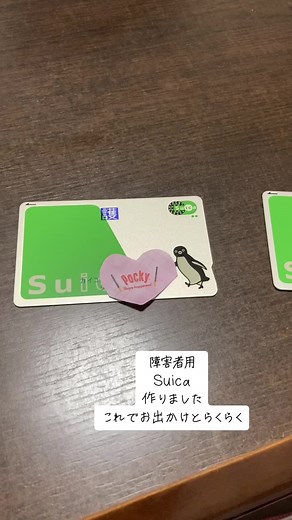 #自閉症 #お出かけ #Suica#電車