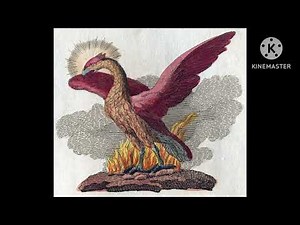 Sound Effects - Phoenix