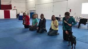 There are less than two weeks left to apply for the Dog Trainer...