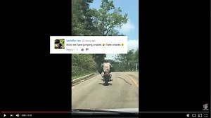 This snake actually tried to bite a man while he was riding a motorcycle
