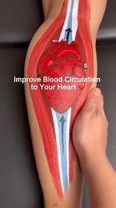 3.2M views · 40K reactions | Your calf muscles act like a “second heart,” helping pump blood back up to your heart every time they contract. Just 5 minutes of this simple exercise in the morning can boost blood circulation, reduce leg heaviness, and help keep your veins healthy. Start your day by waking up your calves—your heart will thank you ❤️ #fblifestyle #bloodcirculation #cardioworkout #Cardio #physicaltherapy | Physical Therapy Session | Facebook