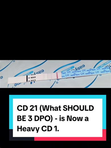 Heavy CD 1: Insights on Ovulation and TTC Journey