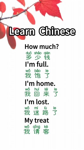 Chinese teacher Jerry on TikTok