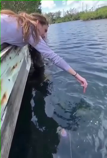 3.4K views · 25 reactions | Fishing Jokes on Reels | Facebook