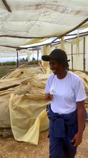 The Shamba Ndogo (@shambandogo)’s videos with Sabela - M'Du