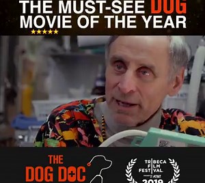 219K views · 1.2K reactions | The Dog Doc directed by Cindy Meehl: A maverick veterinarian, Dr. Marty Goldstein, and his dedicated team of doctors create a mecca for pets and their owners looking for hope and a last chance for animal healing. WORLD PREMIERING at the 2019 Tribeca Film Festival - stay tuned @The Dog Doc for more news including when you can see the film! | Planet Paws | Facebook