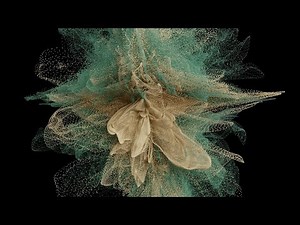 Blender Geometry Nodes: Beautiful Algorithmic Point Cloud Animation