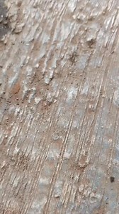 113K views · 1.2K reactions | Not many people know how to install permanent post anchors on shelf legs | Mas Nung | Facebook