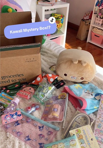 Kawaii Toy Collector on TikTok