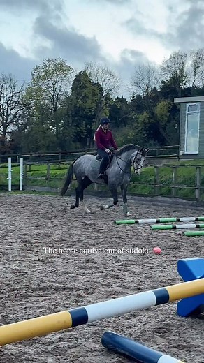 Chuffed with Kiki negotiating her way through some twisty polework this evening. It’s not the most glamorous video, but so many of you guys have asked about what I do day to day with baby ponies, so I think it’s important to make space for these days on the grid. I loved how this exercise made me put so many turns and transitions in, this is going to be key for Kiki who can get easily distracted, and needs to build that booty. There was so much improvement from her from start to finish, she’s ce