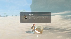 Zelda: Breath of the Wild's "impossible treasure chest" merely holds Opal