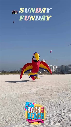 47K views · 908 reactions | The City of Treasure Island, Florida on Reels | Facebook