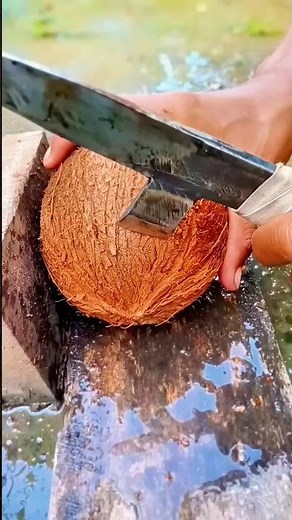 Simple technique to crack coconut