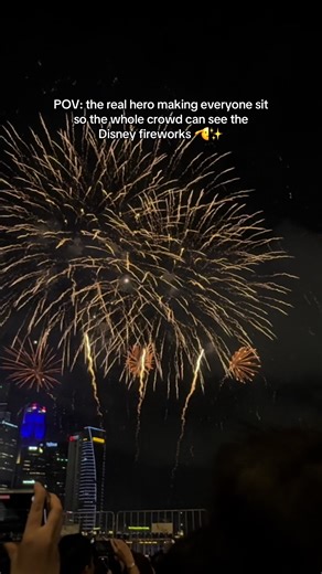 Disney Cruise Adventure: Fireworks at Marina Bay Sands