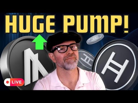 Algorand, HBAR price SURGING!