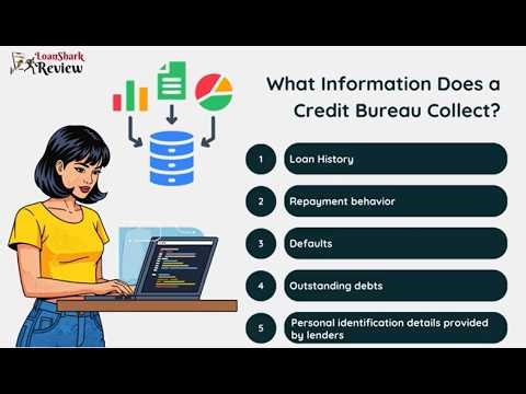 What Information Does a Credit Bureau Collect?