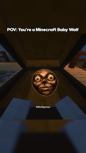 Bigness on Instagram: "POV: You're a Minecraft Baby Wolf #minecraft #minecraftmemes #fyp #foryoupage #trending"