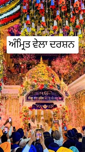 Gurbani Kirtan Harmandir Sahib Amritsar live #gurbani #kirtan #shabad #bhajan #bhakti