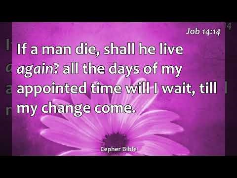 Job 14 Iyov Cepher Audio Bible
