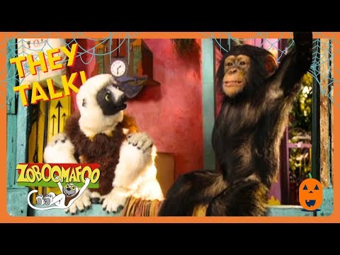 Zoboomafoo - Do Animals Talk? 🤔 | HD Full Episodes | Great For Kids | WildBrain Zigzag