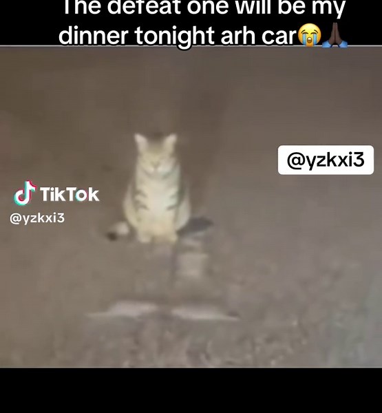 Understanding the Guy Screaming in Car Meme
