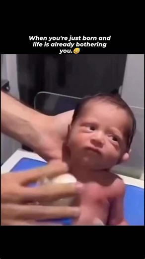 The Humour Scroll 📜 on Instagram: "Newborn percussion, technically known as Chest Physiotherapy (CPT), is the medical technique you likely saw in the video. It looks aggressive to an observer—and clearly annoying to the baby—but it is a standard medical treatment used to help infants breathe better. Why is it done? Loosening Mucus: Babies with respiratory issues (like congestion, pneumonia, or cystic fibrosis) often have thick mucus in their lungs that they are too weak to cough up on their own