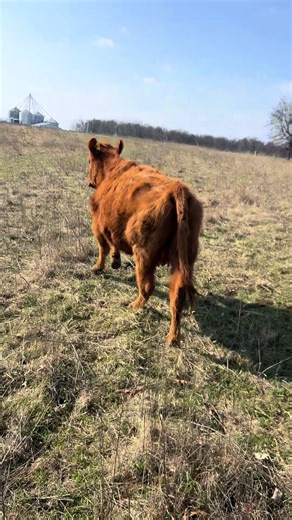 First Time Mom Challenges on the Ranch
