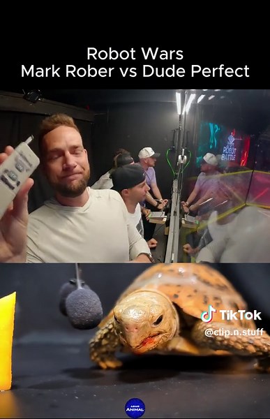 Mark Rober Vs Dude Perfect Battle bots #MarkRober #DudePerfect #BattleBots #MarkRobervsDudePerfect #MarkRoberBattleBots #DudePerfectBattleBots