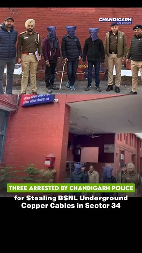 Chandigarh Police Action 🚨 The Chandigarh Police team from PS-34 has arrested three accused involved in the theft of BSNL underground copper cables near the NABARD Office, Sector-34. During the operation, police recovered over 60 meters of copper cable (800 & 1200 pairs) along with the tools used in the crime. Swift action by the police has helped prevent further damage to essential communication infrastructure. Kudos to Chandigarh Police for their timely response 👏 . . . #ChandigarhPolice #Se