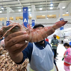 106K views · 4.4K reactions |  Welcome to the Largest Fish Market in Dubai, where the fish are so big they're practically sea monsters! Join me as I navigate through an ocean of choices in search of the perfect fish to feast on.  #DubaiFishMarket #MonsterFish #SeafoodFeast #DubaiFoodScene #CulinaryAdventures #EatLikeALocal | Strictly Dumpling | Facebook