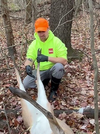 Don't Forget to Remove the Tarsal Glands