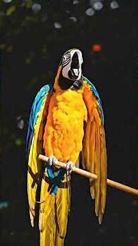 Golden Wings Unleashed: The Breath-taking Beauty of the Blue-and-gold Macaw! 🦜✨