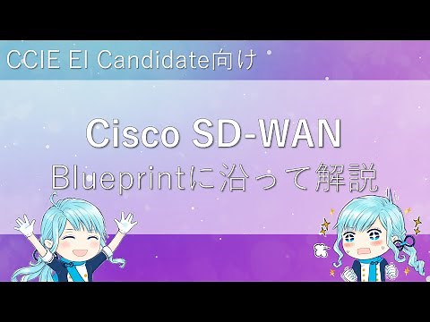 Cisco SD-WAN解説 ( CCIE EI Candidate向け )