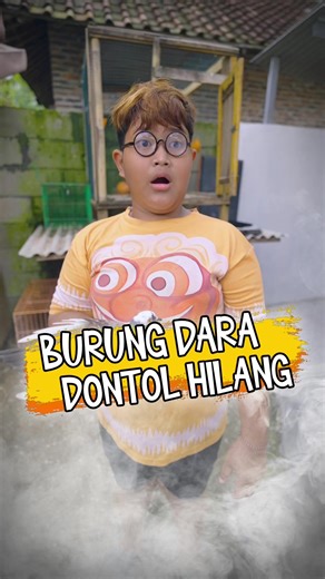 Burung Dara Hilang: Cerita Lucu dan Menarik