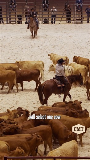 932K views · 19K reactions | The horse is the star of the show when it comes to cutting   The stakes get even higher on a new episode of 'The Last Cowboy' tonight at 8/7c on CMT! | CMT | Facebook