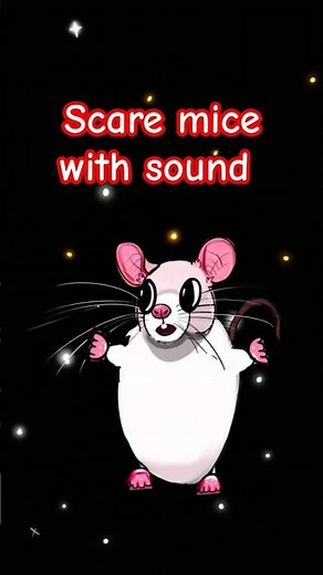 sounds to scare mice away 12. how to stop those scratching noises. Repeat as needed