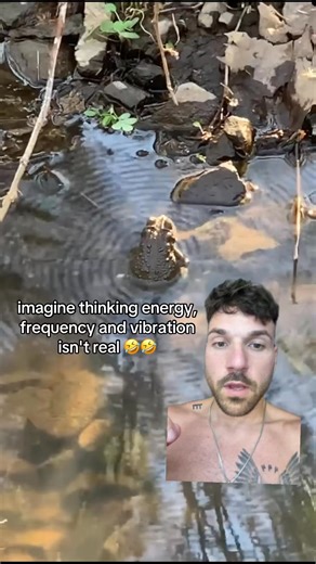 64K views · 2.9K reactions | if you wish to understand the secrets of the universe think in terms of energy frequency and vibration. -Nikola Tesla. #frequency #energy #vibration | Conscious media 369 | Facebook