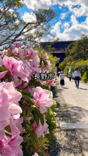 Nagano City - Beautiful Days in the Sun☀️