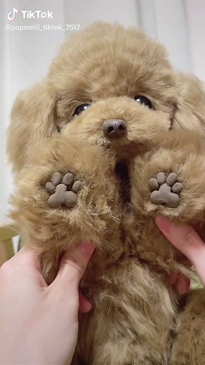 トイプードルぬいぐるみの手作りガイド