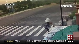 [中国新闻]恶犬伤人事件频发 多地加强管理