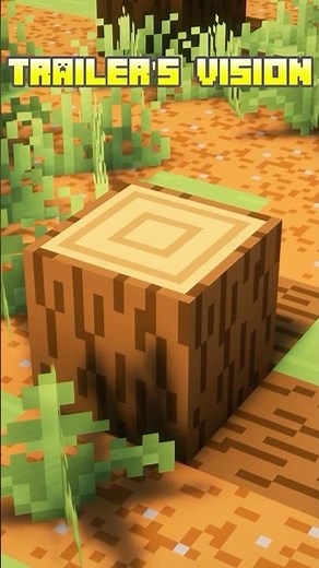 HOW to Make Minecraft LOOK like in the TRAILERS