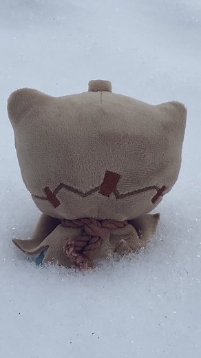 Robbie don’t like the snow #idv #identityv #identity_v #identityvplush #snow #axeboy #robbie