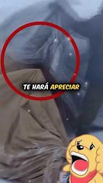 THIS VIDEO WILL MAKE YOU APPRECIATE YOUR LIFE IN ONE MINUTE! #inspiration #life #shorts