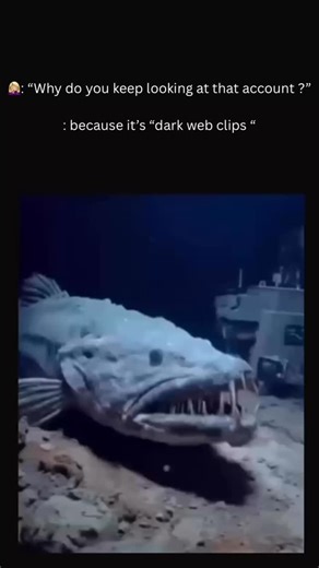 dark web clips on Instagram: "Watch until the end 😱"