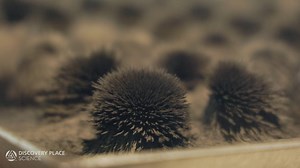 Having a manic Monday? ‍ Enjoy a moment of Zen with our dancing...