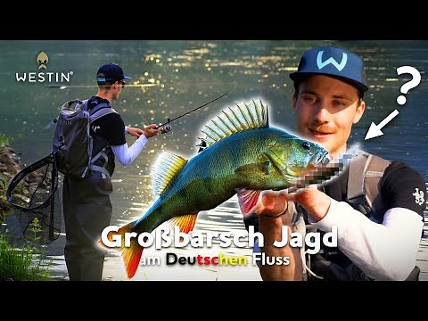 Shore Perch in Summer - River Fishing in Germany | Westin Fishing (German)