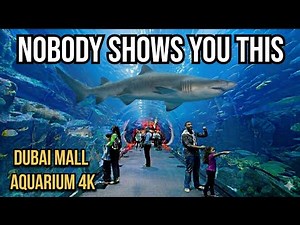 Dubai Mall Aquarium 4K | The Side Nobody Shows You