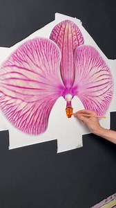 5.5K views · 15 reactions | Immerse yourself in the exquisite beauty...