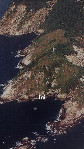 Exploring Snake Island: Myths and Facts about Vipers