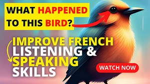 Easy story in French | Amazing French Short Story | Improve French Listening & Speaking Skills #frenchstories #frenchshortstories #easyfrench #frenchvocabulary,#frenchlisteningpractice #beginnerfrenchstories,#frenchreading #Dialogue #dialog #frenchconversation #frenchwords #learnfrench #learnfrenchonline #basicfrench #easyfrench #frenchforbeginners #onlinefrench #learnlanguages #easylearning #frenchteacher #iLearn #apprendrelefrançais #Dialogue #francuski #frenchlesson #ilovefrench #francese #pa